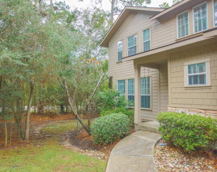 62 Woodlily Place, The Woodlands
