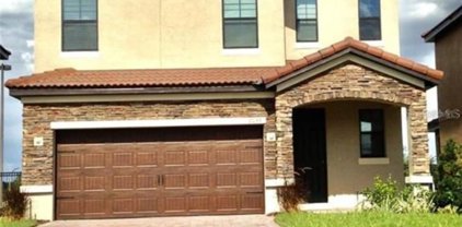 2036 Leather Fern Drive, Ocoee