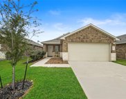 2311 Otter Falls Drive, Spring image