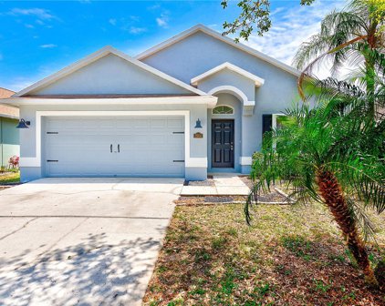 7604 Citrus Blossom Drive, Land O' Lakes