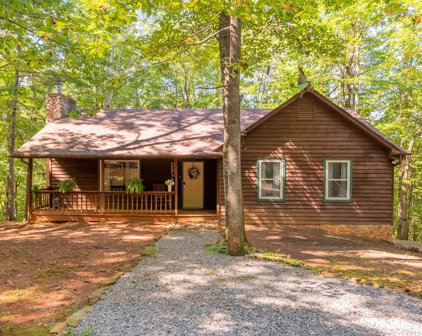 110 Hickory Lake  Ln, Goodview