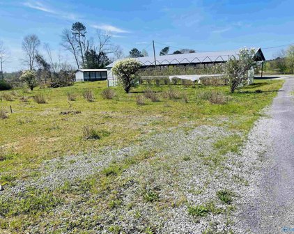 3863 Nixon Chapel Road, Albertville