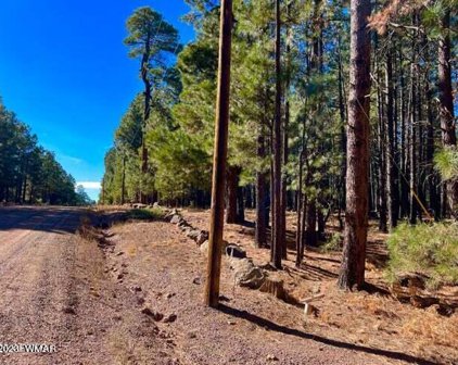 2761 Larson Loop, Forest Lakes