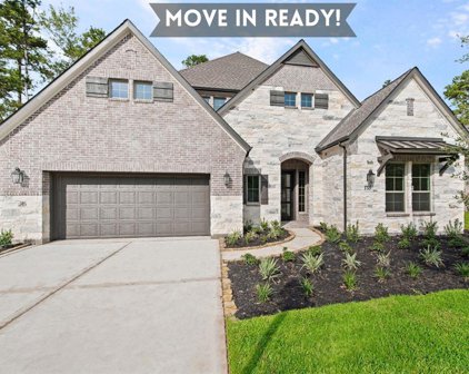 130 Harbour Hills Drive, Willis