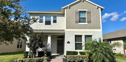 16731 Harper Cove Drive, Winter Garden