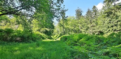 0 Lot 6 Newman Road, Langley