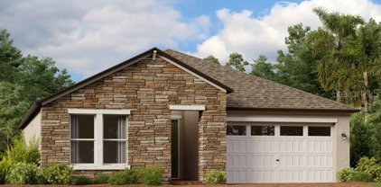 22346 Storybook Cabin Way, Land O' Lakes