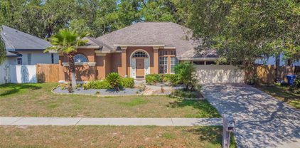 10423 Nightengale Drive, Riverview