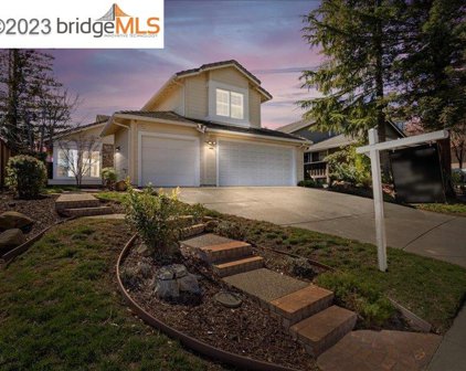 4864 Belford Peak Way, Antioch