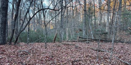 Rocky Mount  Drive Unit #52, Lake Lure