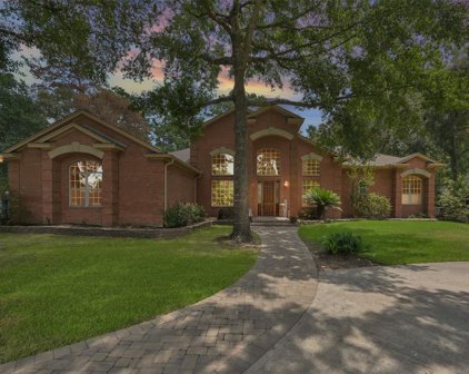 3710 Skyoak Court, Spring