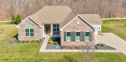13878 Ambria Drive, Mccordsville