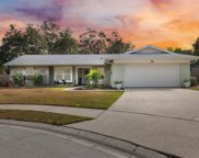 2868 Rustic Oaks Drive, Palm Harbor image