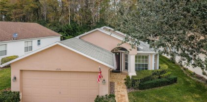 1220 Winding Willow Drive, Trinity