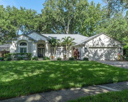 16212 Swenson Terrace, Lutz
