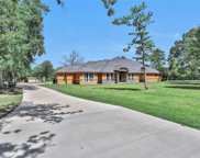 29502 Country Place Road, Magnolia image