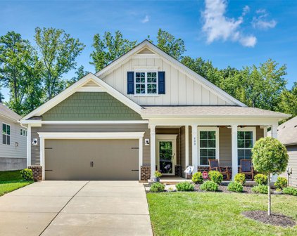 599 Belle Grove  Drive, Clover