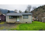 3020 CANYONVILLE RIDDLE RD, Riddle image