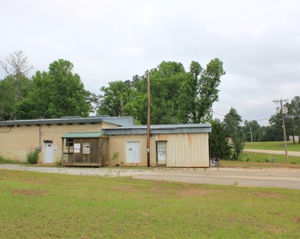 405 Highway 203, Elba