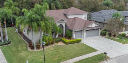 16048 Ivy Lake Drive, Odessa