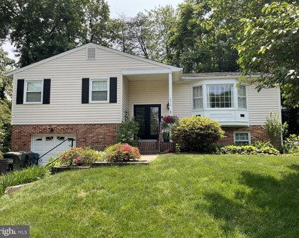 8714 Braddock Ave, Alexandria