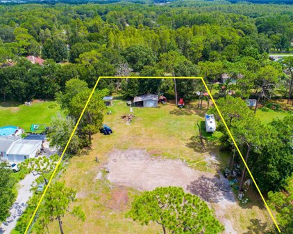 17533 Driftwood Lane, Lutz