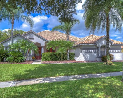 3715 Marbury Court, Land O' Lakes