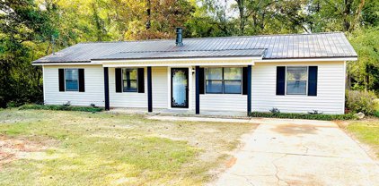 238 County Rd 56, Midland City