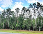 GA 67 Highway, Pembroke image