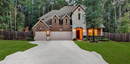 11037 Shadow View Drive, Conroe