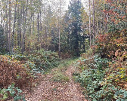 5732 Hoogdal Branch Road, Sedro Woolley