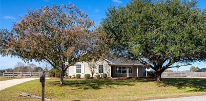 9910 Sw 98th Terrace, Gainesville
