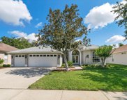 8537 Orsi Court, Trinity image