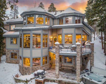 205 S Gold Flake, Breckenridge