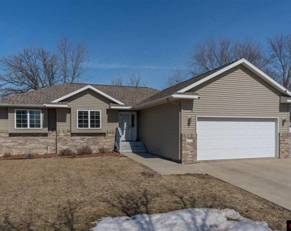 100 Panther, Mankato