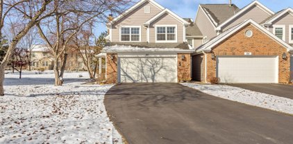 66 Whitman Drive, Schaumburg