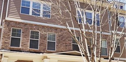 4358 Grove Field Court, Suwanee