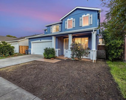 3036 Mule Deer Lane, Santa Rosa