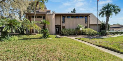 4404 Old Orchard Drive, Tampa