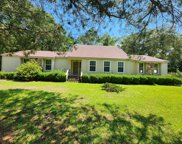 389 Pine Valley Rd, Douglas image
