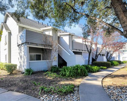 388 Shadow Run DR 388, San Jose