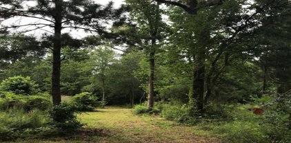 26150 Grand Pines Road, Magnolia