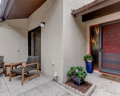 2959 Yucca Court, Palm Harbor