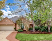 259 W Northcastle Circle, The Woodlands image
