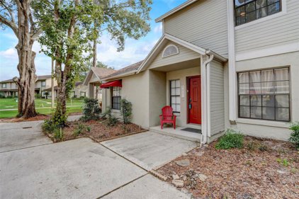 8421 Laurelon Place, Temple Terrace