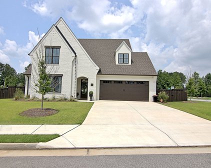 61 Dappers Landing, Newnan