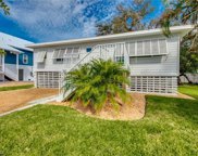 161 Gulf Island, Fort Myers Beach image