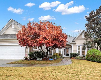 51261 Daffodil  Court, Indian Land