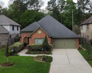 4507 Tamarind Trail, Houston image