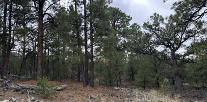 204 Big Bear Road, Mosca